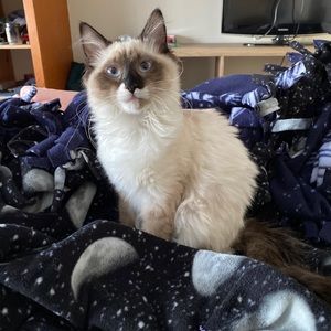 Meet your Posher, Ben